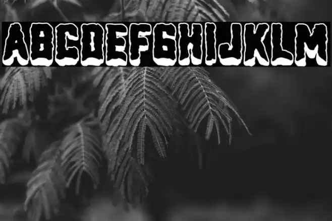 Doctor Heroine Schriftart examples