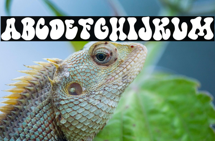 Doctor Hofmann Example 1