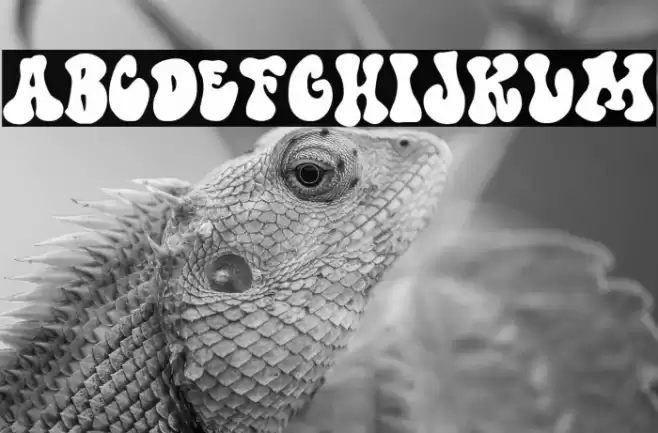 Doctor Hofmann Font examples