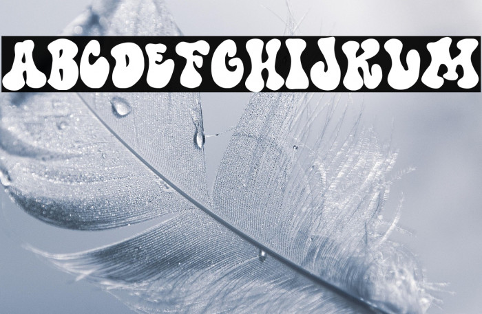 Doctor Hofmann Example 2