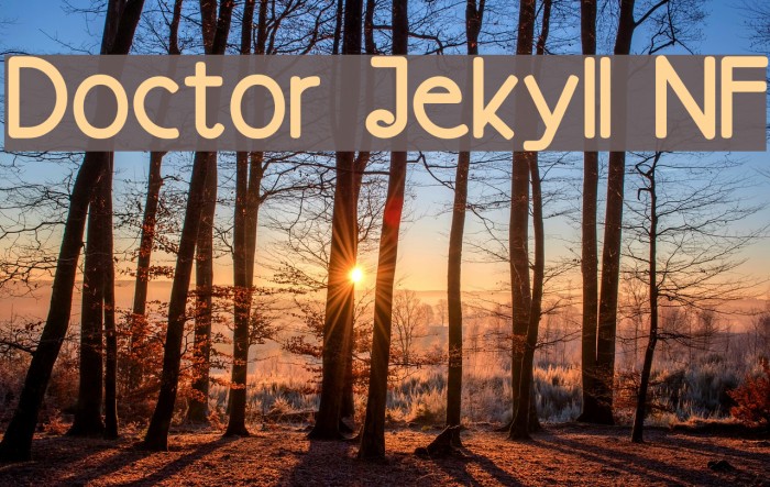 Doctor Jekyll NF Font examples