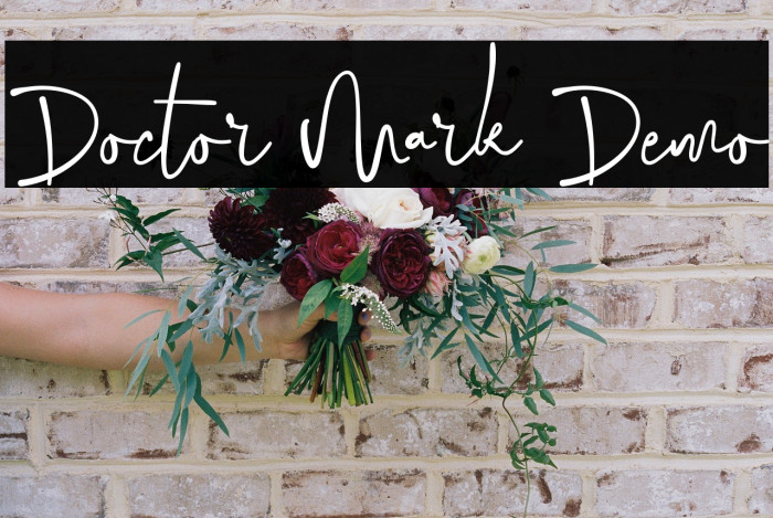 Doctor Mark Demo Example 2