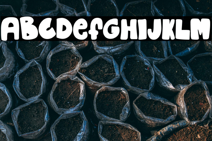 Doctor Potorro Example 2