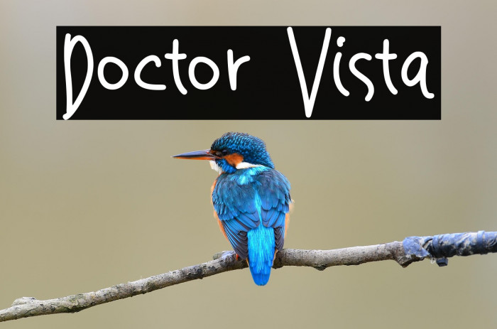 Doctor Vista Example 1