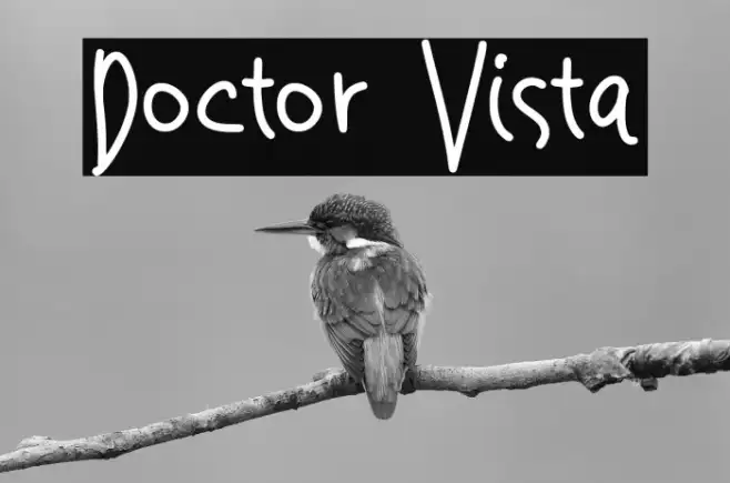 Doctor Vista Example 1