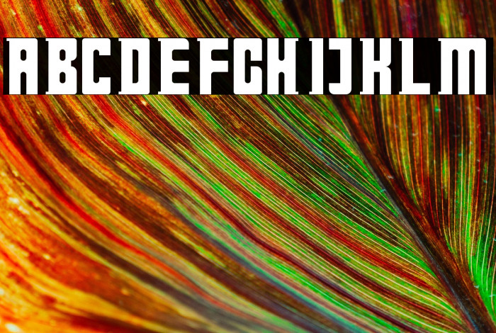 Doctor Who Regular Example 3