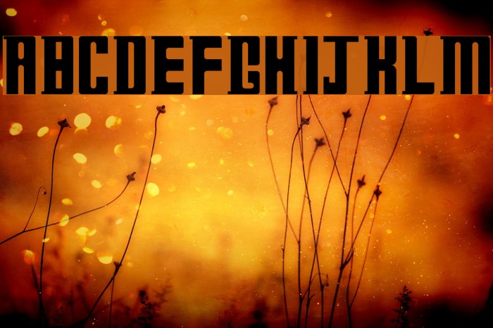 Doctor Who Regular Font examples