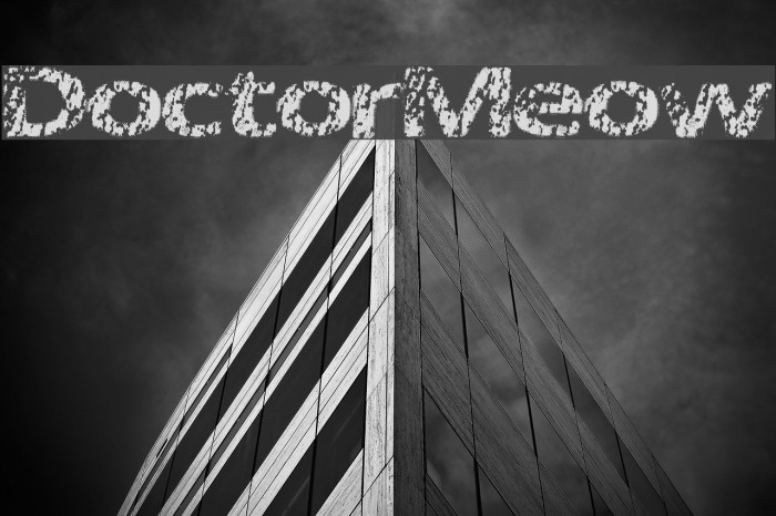 DoctorMeow Font examples
