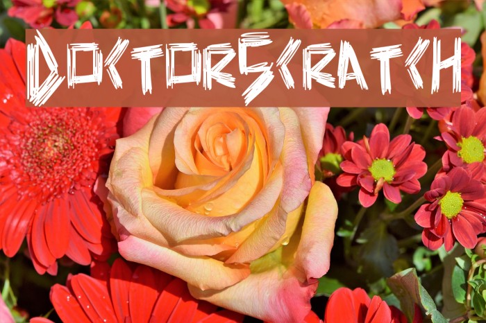DoctorScratch Font examples