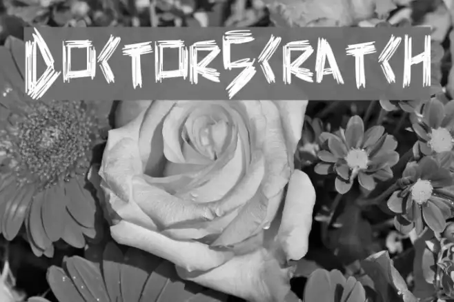 DoctorScratch Example 1