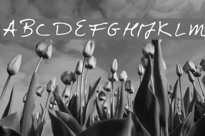 Doctor Font examples