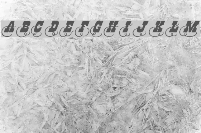 Dodge City Initials Font examples