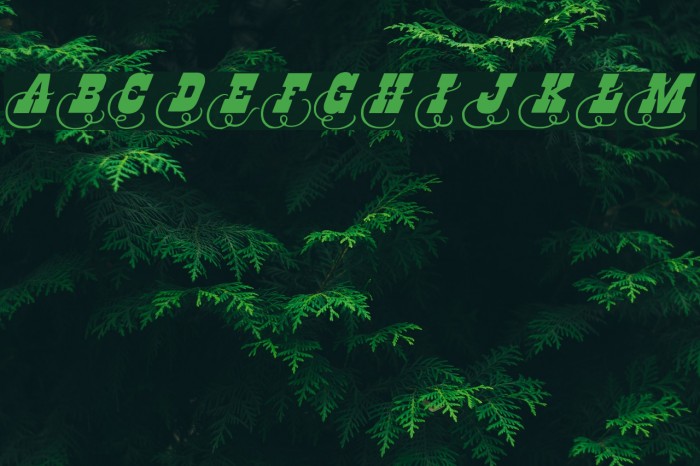 Dodge City Initials Example 3