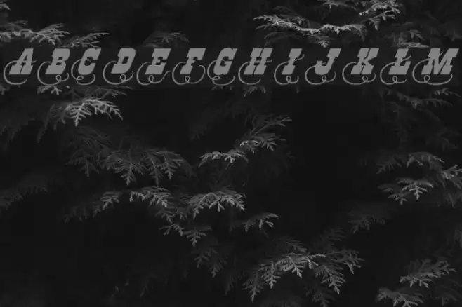 Dodge City Initials Font examples