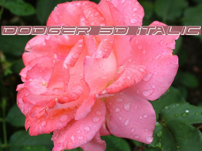 Dodger 3D Italic Font examples