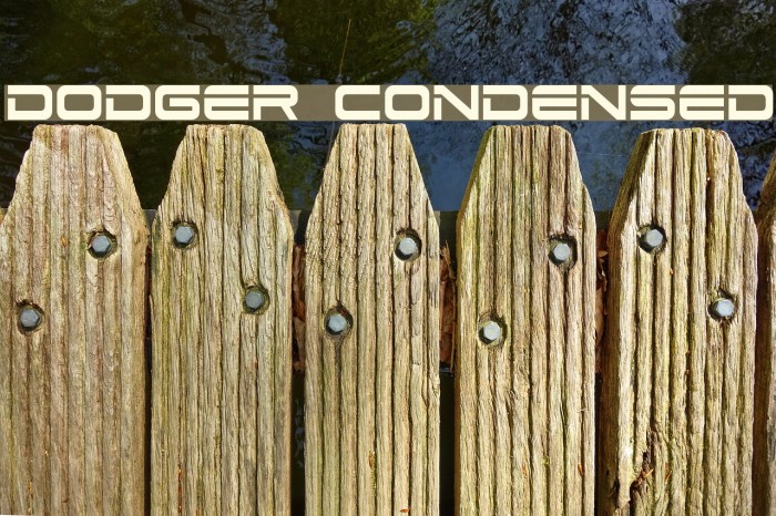 Dodger Condensed Font examples