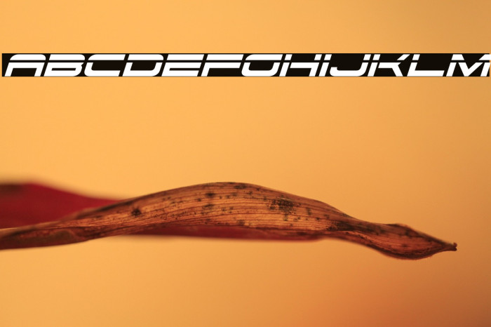 Dodger Laser Italic Example 1