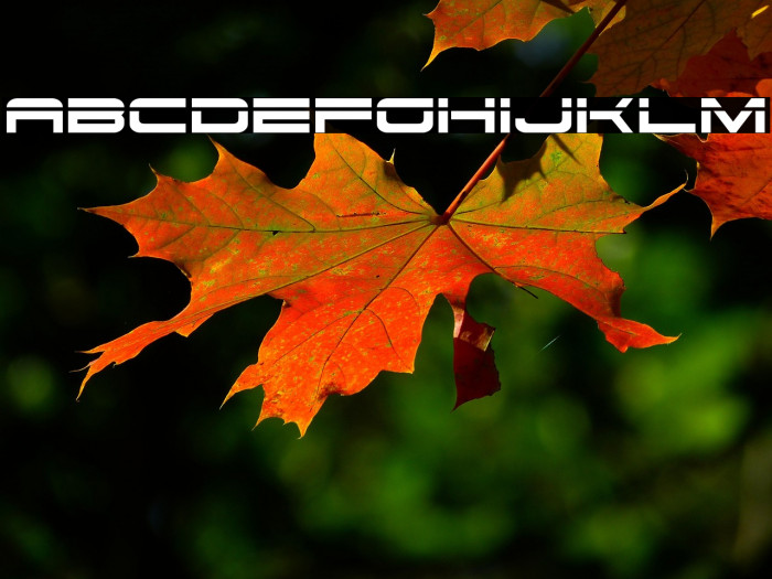 Dodger Laser Example 1