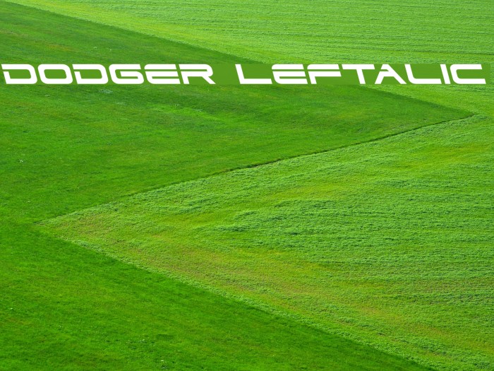 Dodger Leftalic Example 2