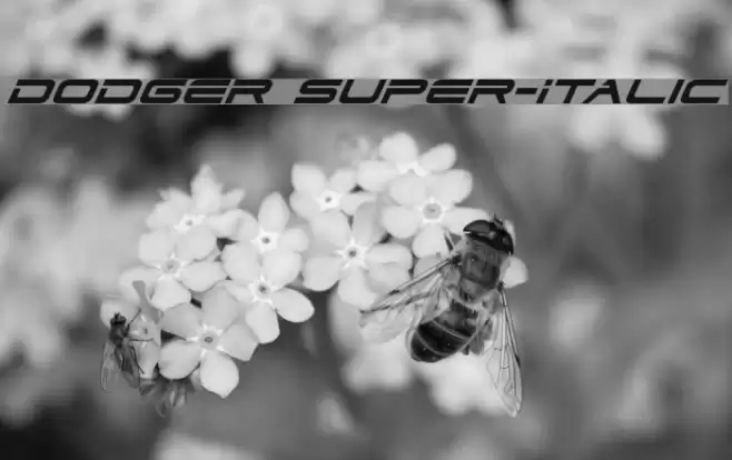 Dodger Super-Italic Font examples