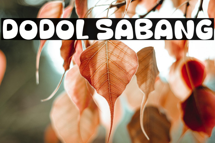 Dodol Sabang Example 3
