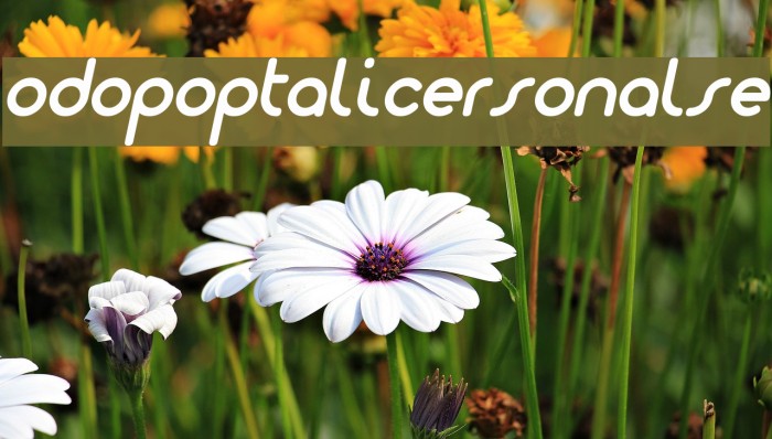 Dodopop-ItalicPersonalUse Font examples