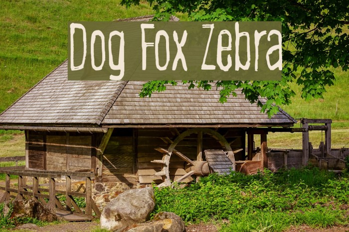 Dog Fox Zebra Font examples