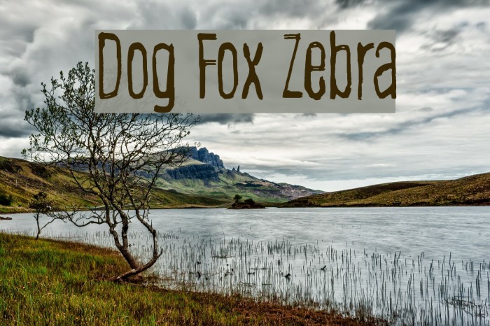 Dog Fox Zebra Font examples