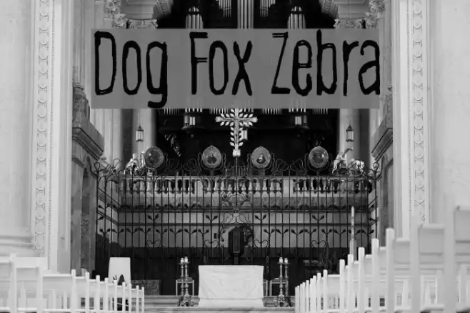 Dog Fox Zebra Font examples