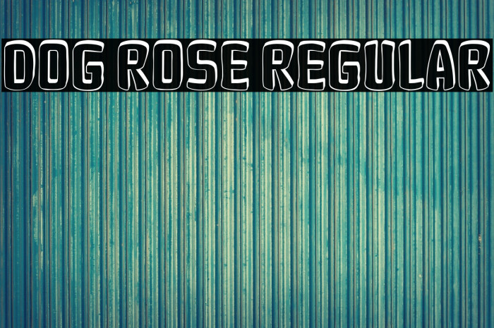 Dog Rose Regular Example 3