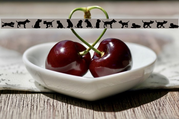 Dog30Silhouette Example 2