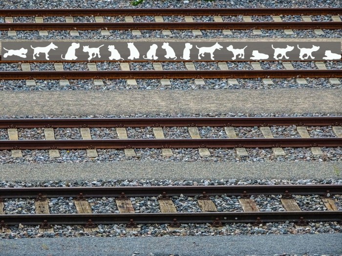 Dog30Silhouette Example 3