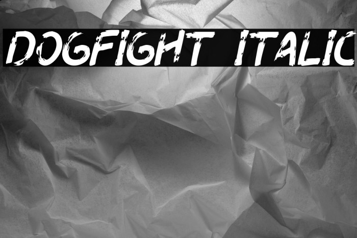 Dogfight Italic Example 1