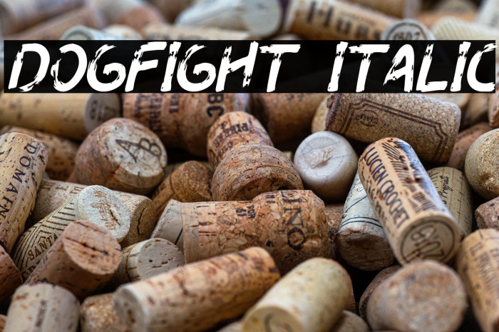 Dogfight Italic Example 3