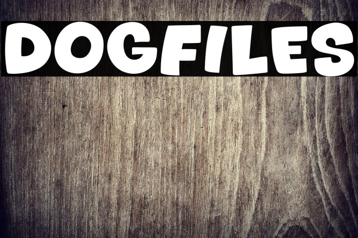 Dogfiles Example 1