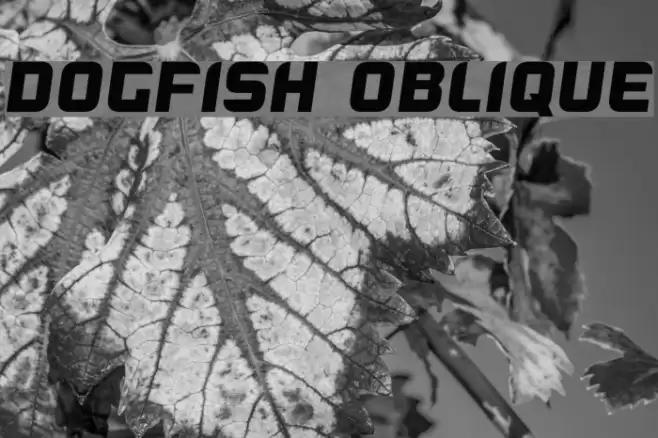 Dogfish Oblique Font examples