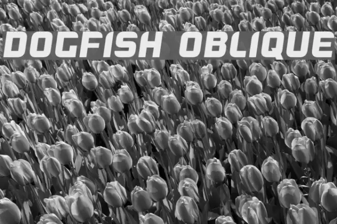 Dogfish Oblique Font examples
