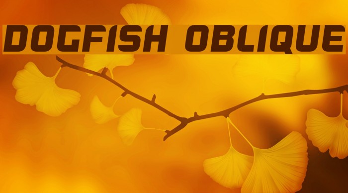 Dogfish Oblique Example 3