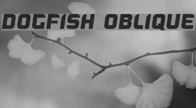 Dogfish Oblique Font examples
