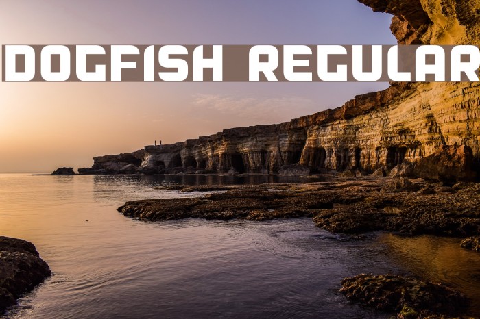 Dogfish Regular Font examples
