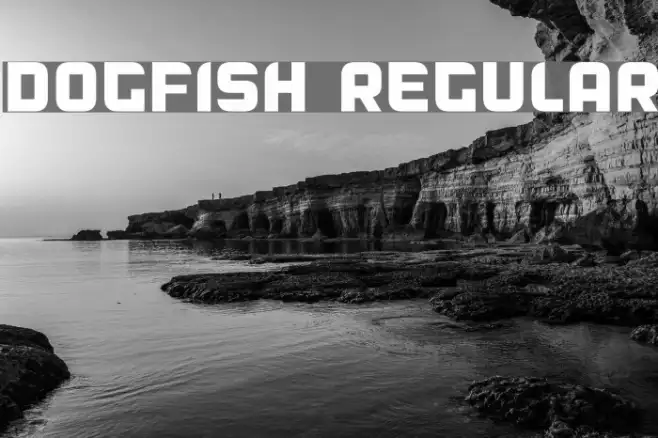 Dogfish Regular Example 1