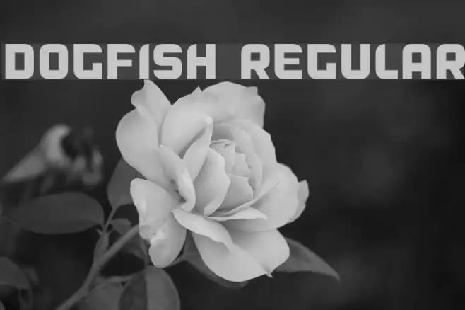 Dogfish Regular Example 2