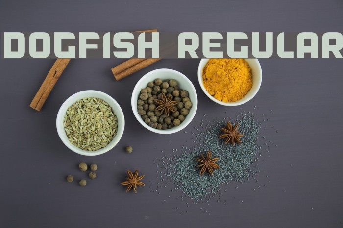 Dogfish Regular Font examples