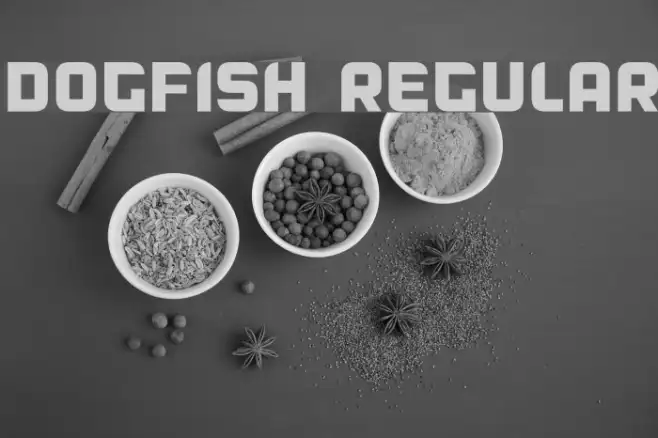 Dogfish Regular Example 3