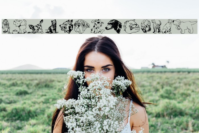 DoggArt Font examples