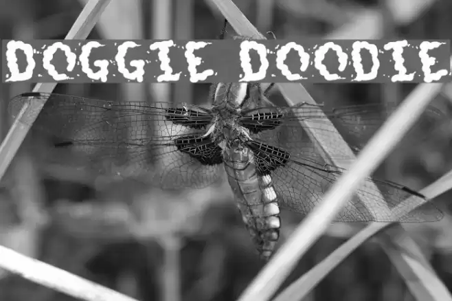 Doggie Doodie Font examples