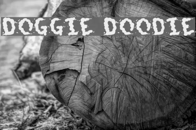 Doggie Doodie Font examples