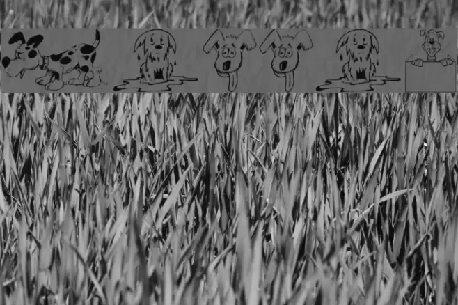 Doggon Font examples