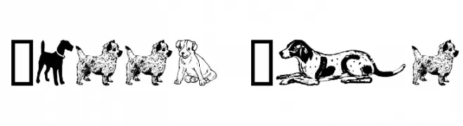 Doggy Bag  font caratteri gratis