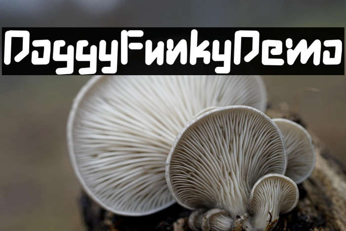 Doggy Funky Demo Example 2